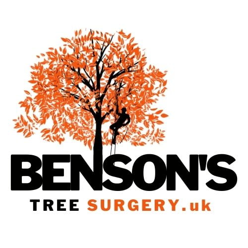 Benson's Tree Surgery Glasgow | Glasgow's Expert Tree Surgery