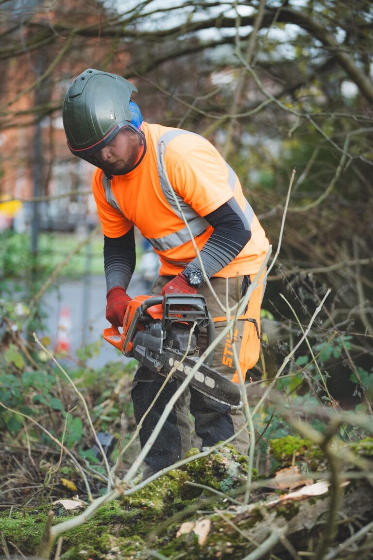 Crown Clearing and Dead Wood Removal, Glasgow, Cutting up branches
