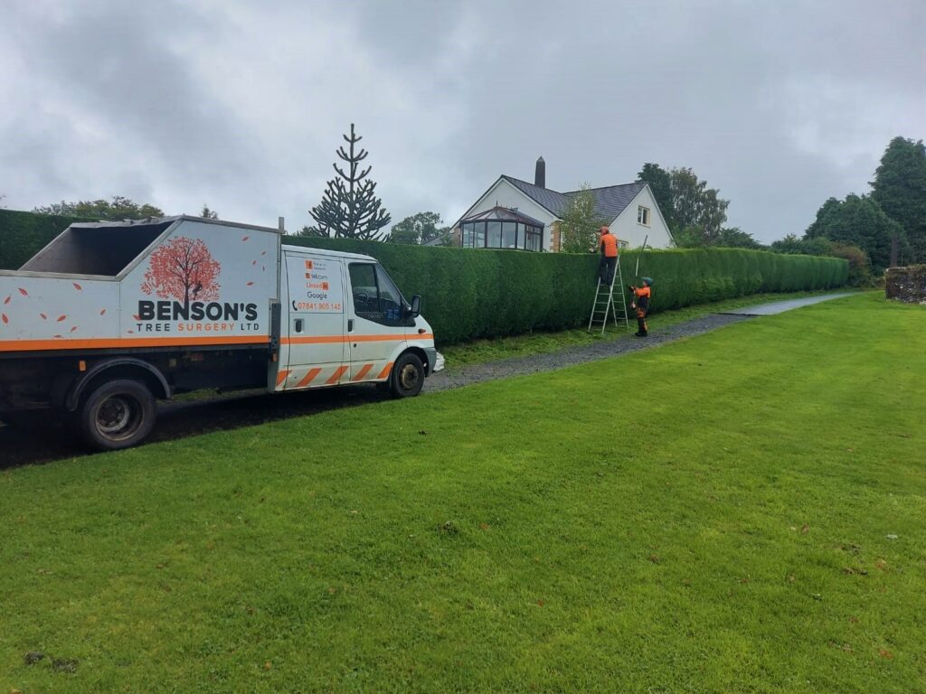 Hedge Management, Hedge Cutting, Hedge Trimming, Large Garden Hedge