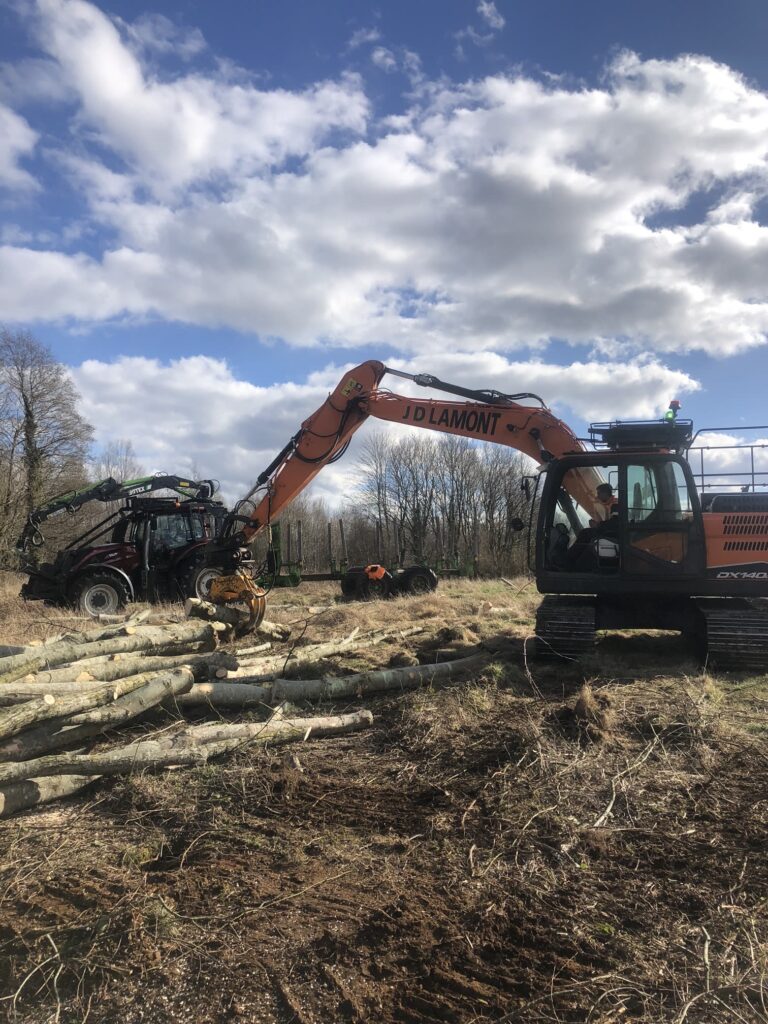 Commercial Tree Surgery and Site Clearance