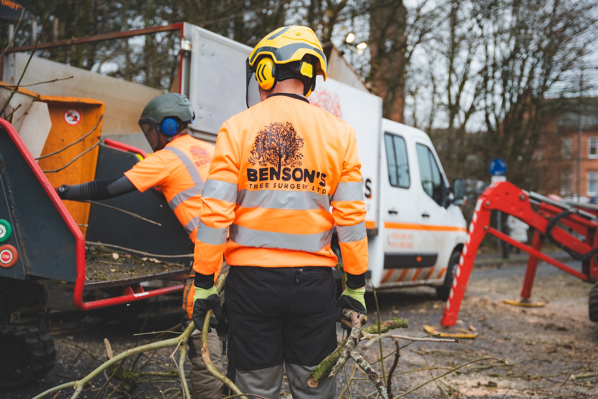 Services of Benson's Tree Surgery Glasgow